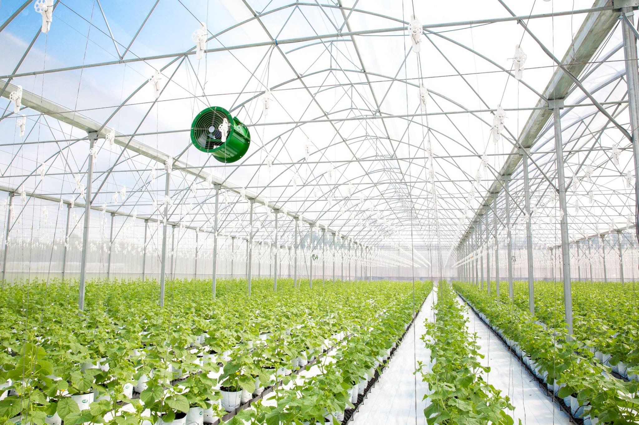 Công nghệ nông nghiệp