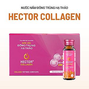 Đông Trùng Hạ Thảo Hector Collagen