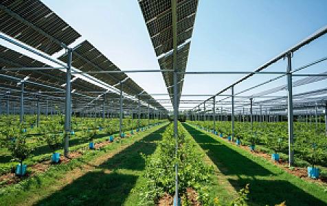 Điện nông - mô hình tạo lợi kép cho nông nghiệp