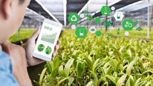5 công nghệ được ứng dụng trong nông nghiệp thông minh
