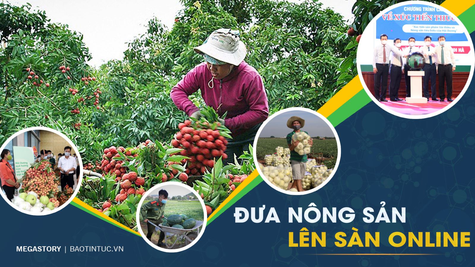 Sản phẩm nhà nông
