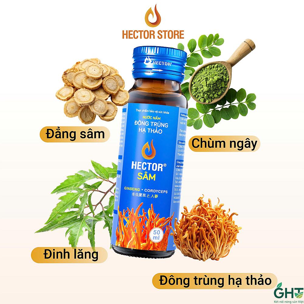 Sâm Đông Trùng Hạ Thảo Hector