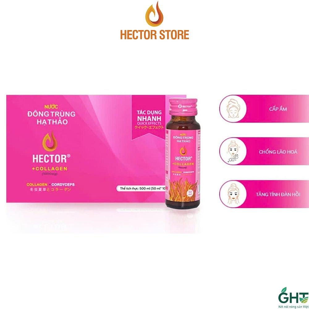 Đông Trùng Hạ Thảo Hector Collagen