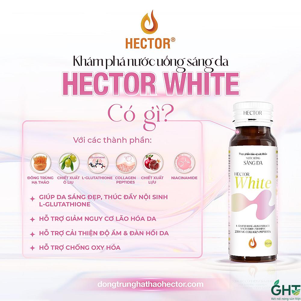 Hector White Đông Trùng Hạ Thảo