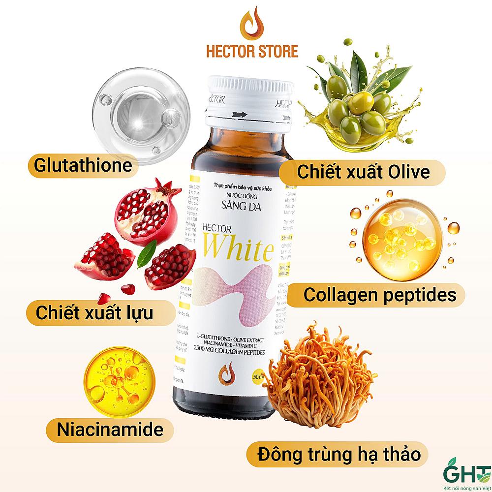 Hector White Đông Trùng Hạ Thảo